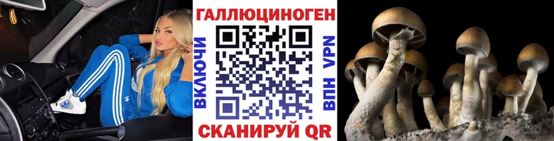 Псилоцибиновые грибы Cubensis  купить наркотики сайты  Валдай 